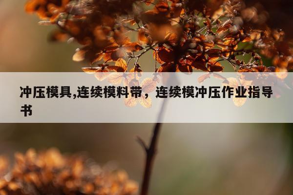 冲压模具,连续模料带，连续模冲压作业指导书
