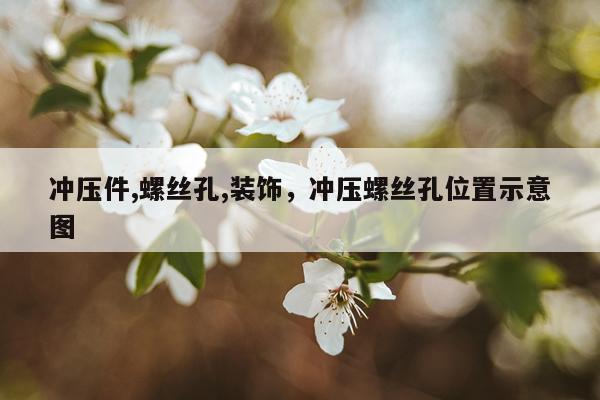 冲压件,螺丝孔,装饰，冲压螺丝孔位置示意图
